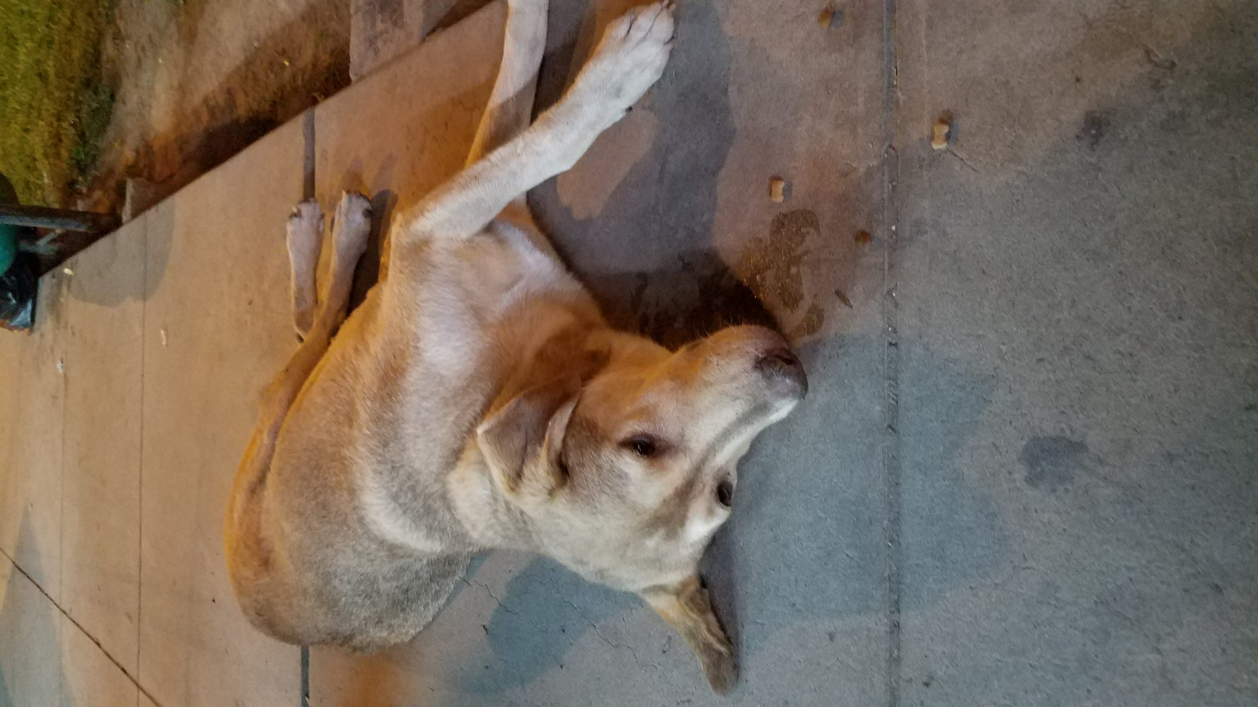 Sleepy homeless street eats a meal laying down Sleepy homeless street eats a meal laying down