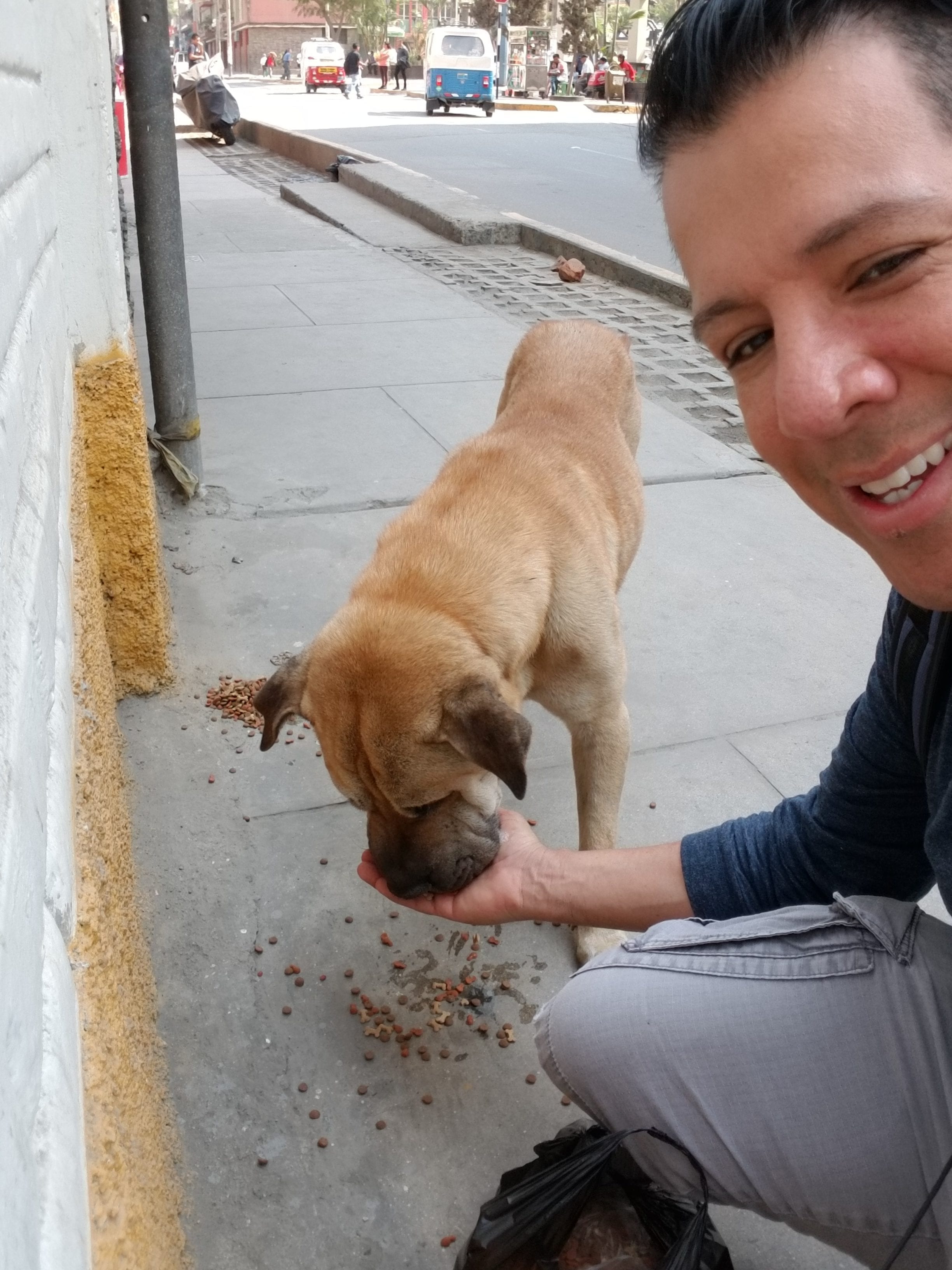 This Sharpei Lab mix has a mean look. I gained his trust and named him Cabezon. He calmly ate from my hands This Sharpei Lab mix has a mean look. I gained his trust and named him Cabezon. He calmly ate from my hands