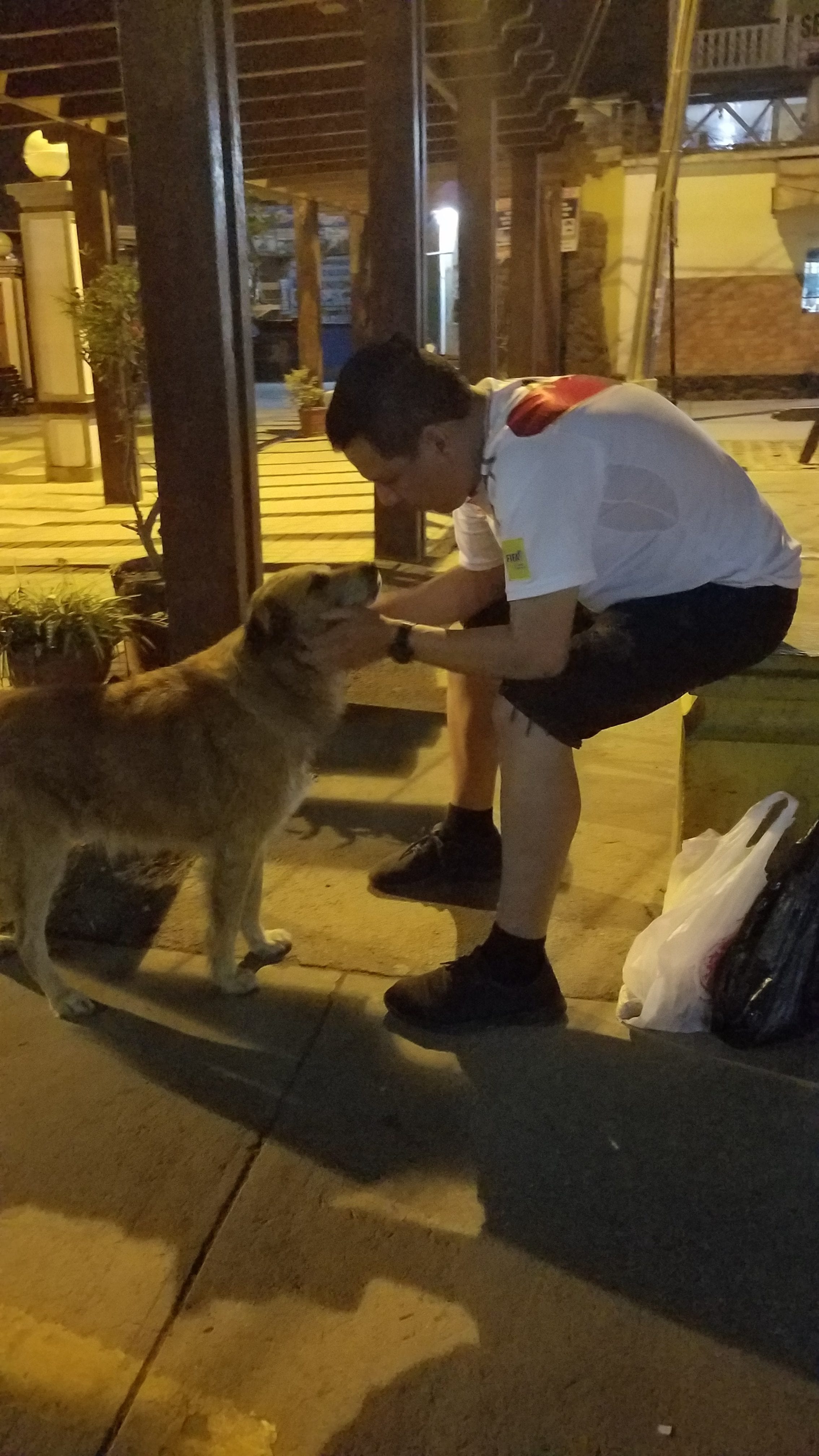 All they need is Love. All they need is Love, Food and Shelter. Open your heart and help me bring you a dog. All they need is Love. All they need is Love, Food and Shelter. Open your heart and help me bring you a dog.