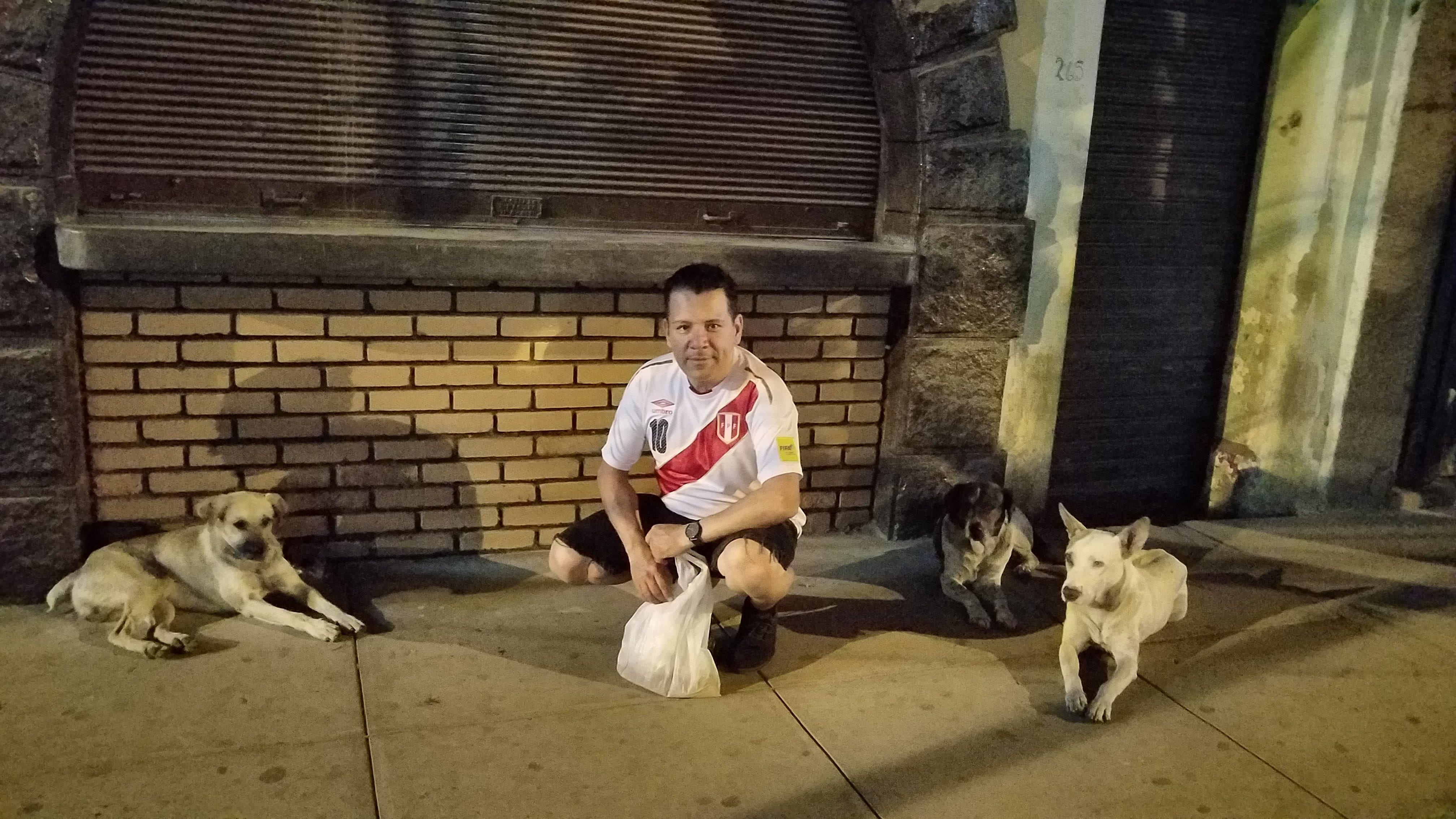 My 3 amigos i would meet every night. These guys awaited my visits full of love and food. I was admitted into their pack. I am honored. My 3 amigos i would meet every night. These guys awaited my visits full of love and food. I was admitted into their pack. I am honored.