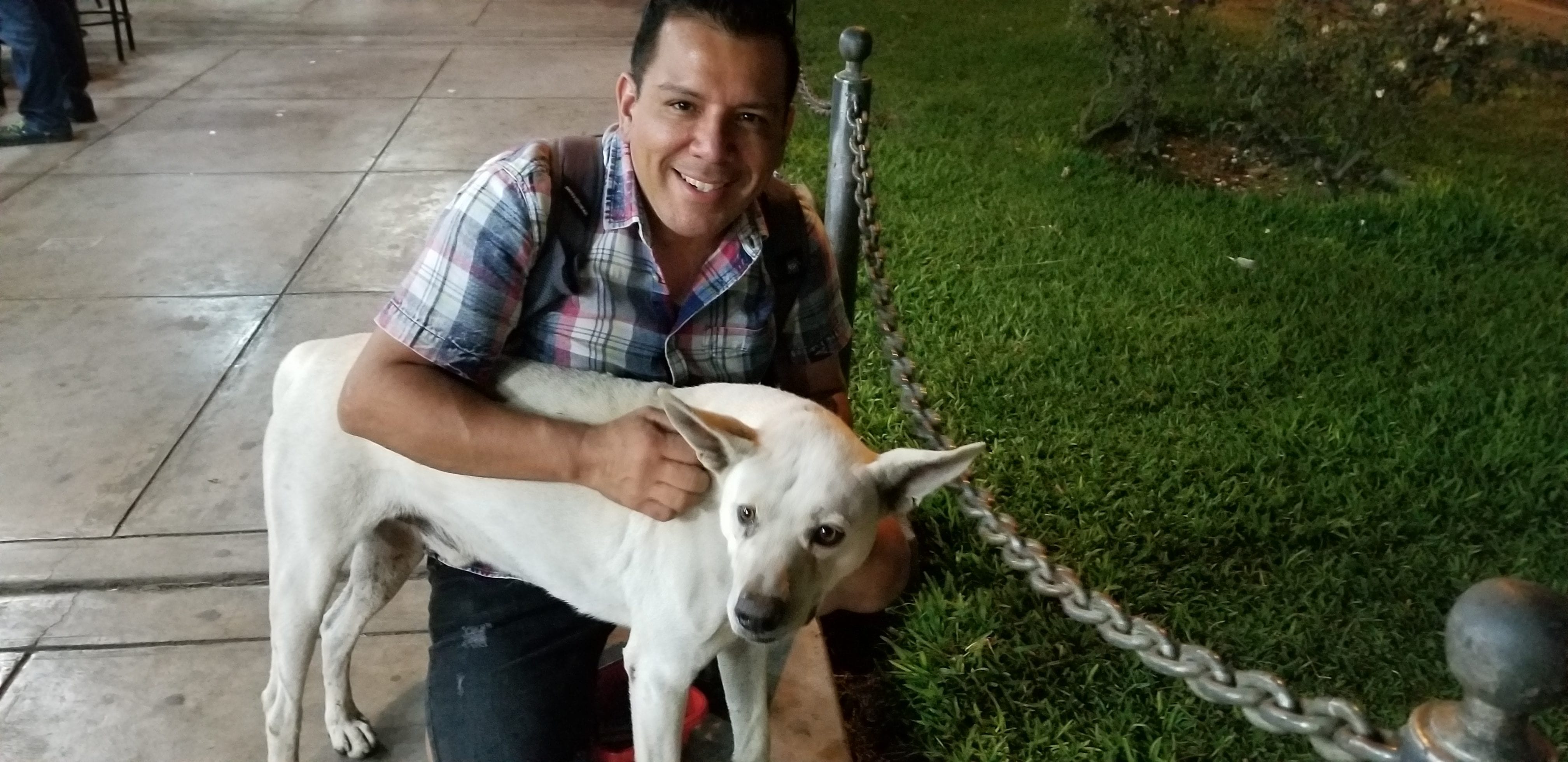 The pup is happy to be petted and rubbed, Afterwards he was feed a meal and provided fresh water. The pup is happy to be petted and rubbed, Afterwards he was feed a meal and provided fresh water.