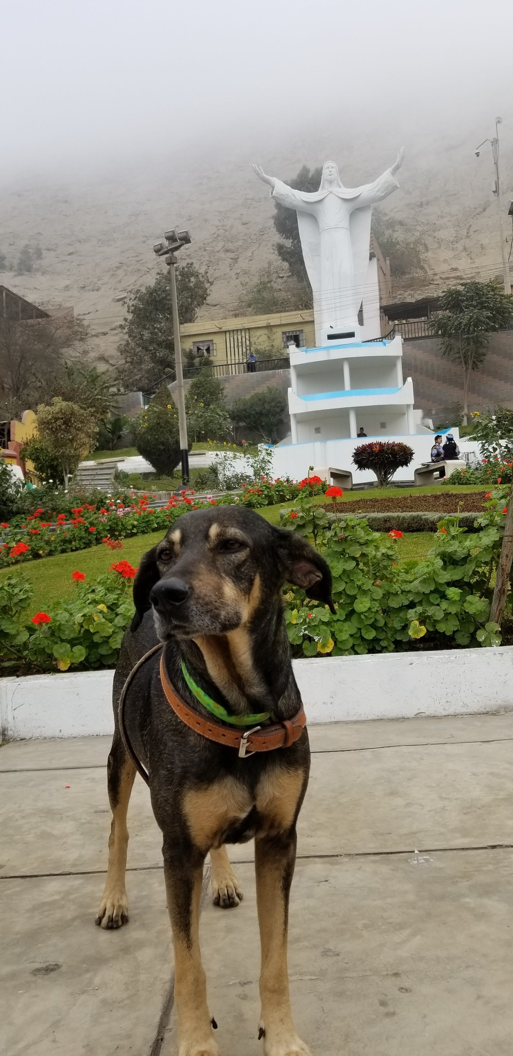 God is Good. If you believe, believe in a higher power you can have positive change. Ask Benny. His life is did a complete 180. God is Good. If you believe, believe in a higher power you can have positive change. Ask Benny. His life is did a complete 180.